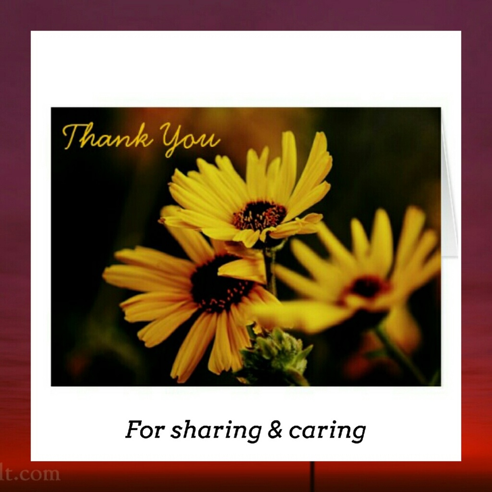 Thank u 4 caring & sharing. Shares 5-10 I’ll return them as soon as I can.